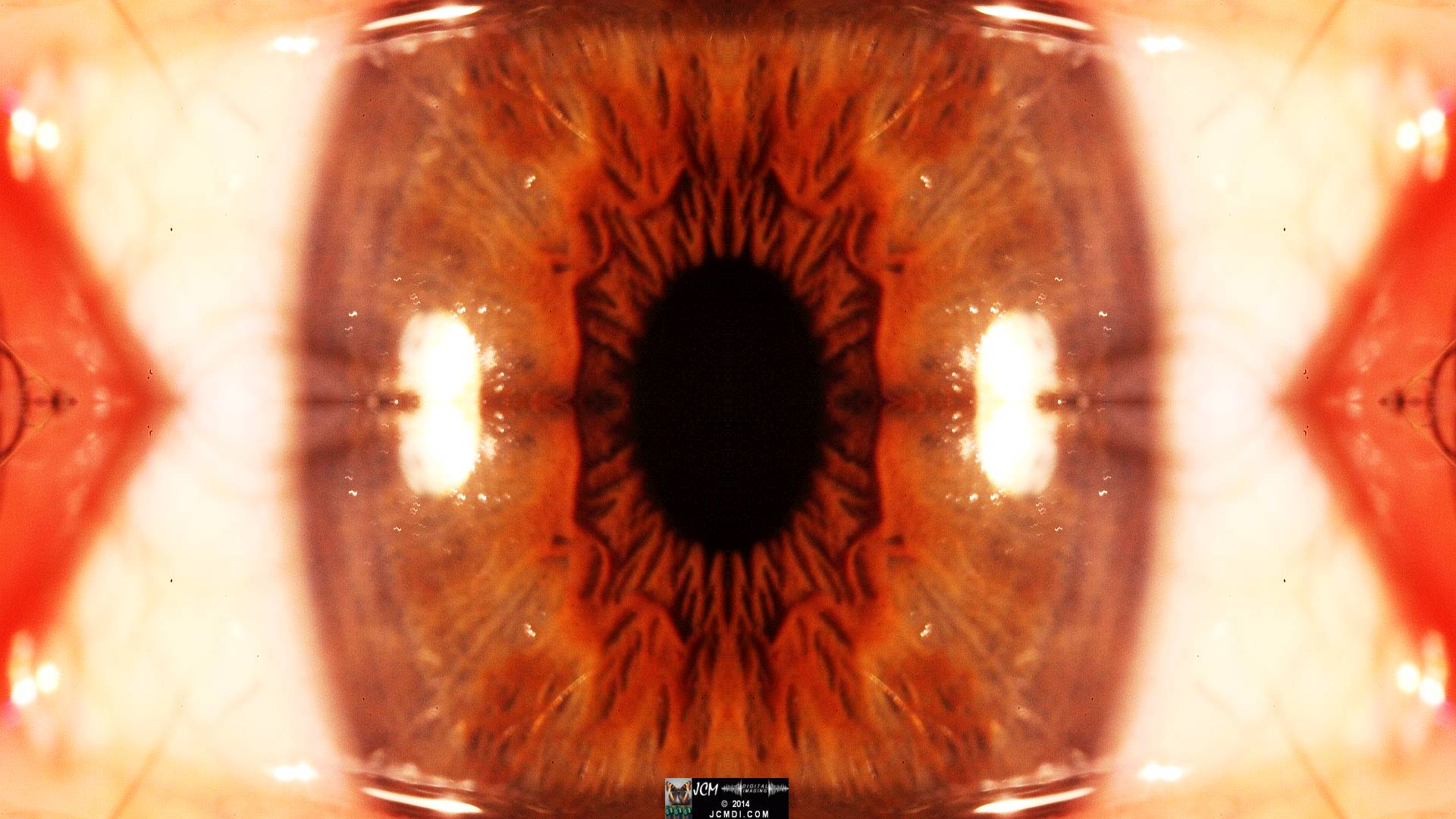 Quadroscopic Artwork made from an image of a real human eye